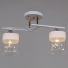 Потолочная люстра Reluce 06096-0.3-02 WH+FG