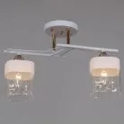 Потолочная люстра Reluce 06096-0.3-02 WH+FG