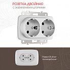 Розетка двойная с заземлением и шторками, 16A 250V Arte Milano 205.40-2.silver am