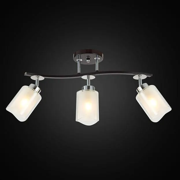 Потолочный светильник Citilux CL156132 Фортуна Потолочный светильник Citilux CL156132 Фортуна
