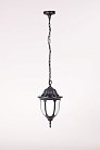 Уличный светильник подвесной Oasis Light 92105 Bl