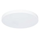 Светильник Потолочный Arte Lamp A2671PL-1WH ARENA