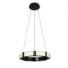 Подвесной светильник Cloyd 11369 Bradis