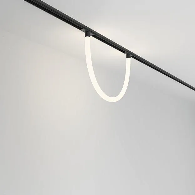 Трековый светильник Maytoni Technical TR101-2-20W4K-B Tau