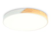 Потолочный светодиодный светильник Ambrella light FZ1300 ORBITAL