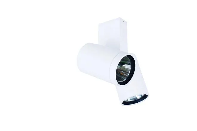 Настенно-потолочный светильник Donolux DL18422/12WW-White Dl18422 Настенно-потолочный светильник Donolux DL18422/12WW-White Dl18422