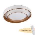 Потолочный светильник MyFar MR9161-CL Rhea
