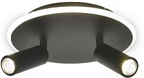 Настенно-потолочный светильник Escada 20046SMA/02LED BK 20046LED