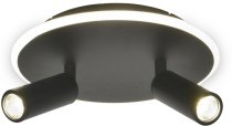 Настенно-потолочный светильник Escada 20046SMA/02LED BK 20046LED