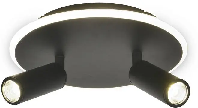 Настенно-потолочный светильник Escada 20046SMA/02LED BK 20046LED