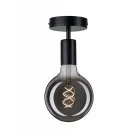 Потолочный светильник Paulmann 79760 Malja