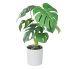 Искусственное растение в горшке Eglo 428017 TOBETSU