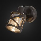 Спот Citilux CL536615 Гессен