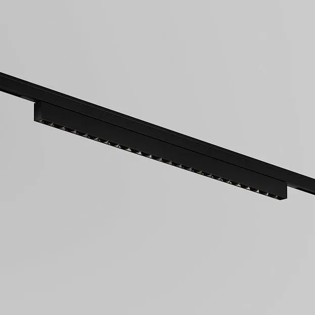 Трековый светильник Maytoni Technical TR193-1-20W3K-M-B Points