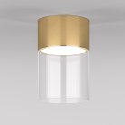 Потолочный акцентный светильник elektrostandard 25047/led lumen a064707