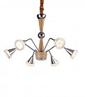 Подвесная люстра Lucia Tucci Natura 072.6 LED