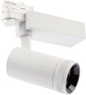 Трековый светильник ЭРА STR-30-99-40K-W20