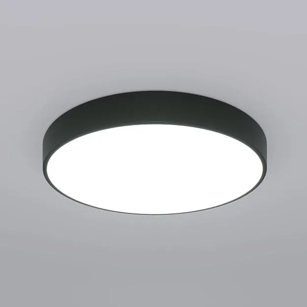Потолочный светильник Eurosvet 90320/1 Entire a063081 Потолочный светильник Eurosvet 90320/1 Entire a063081
