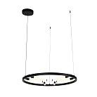 Подвесной светильник ST Luce SL393.403.06 Bisaria