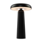 Аккумуляторная настольная лампа Freya FR6109TL-L4B Mushroom