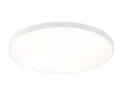 Потолочный светильник Ambrella light FZ1223
