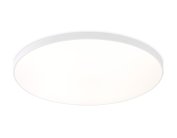 Потолочный светильник Ambrella light FZ1223