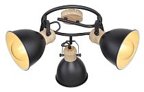 Спот Globo 54018-3S Wiho