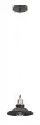 Подвесной светильник ЭРА PL4 BK