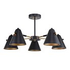 Потолочная люстра F-Promo 2844-5P Rigor