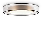 Потолочный светильник Freya FR6005CL-L48G Zoticus