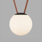 Светильник для трека-ремня Denkirs DK5553-BK Belty, серия Orb