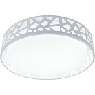 Потолочный светильник светодиодный TopLight TL1205X-72WH Leone