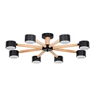 Потолочная люстра Arte Lamp TENDA A1624PL-8BK