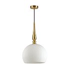 Подвесной светильник Odeon Light 4765/1 Runga