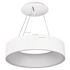 Подвесной светильник Arlight 022146(1) TOR RING