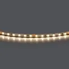 Лента нейтрального белого свечения 24V Lightstar 420504