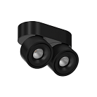 Накладной светильник LeDron LH8W 2 Black LH13