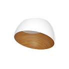 Накладной светодиодный светильник LeDron 5610X-824RC-WH-3 GLOW