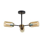 Люстра потолочная E14 3*40W Lumion 5640/3C DALLIN