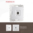 Розетка TV Arte Milano 206.43-1.silver am