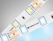 Светодиодная лента Ambrella Light GS1003