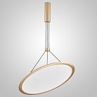 Подвесной светильник VIVERT D60 Brass ImperiumLoft 232168-23 vivert01