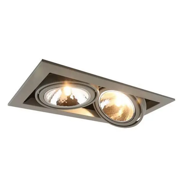 Встраиваемый светильник Arte Lamp A5949PL-2GY CARDANI SEMPLICE Встраиваемый светильник Arte Lamp A5949PL-2GY CARDANI SEMPLICE