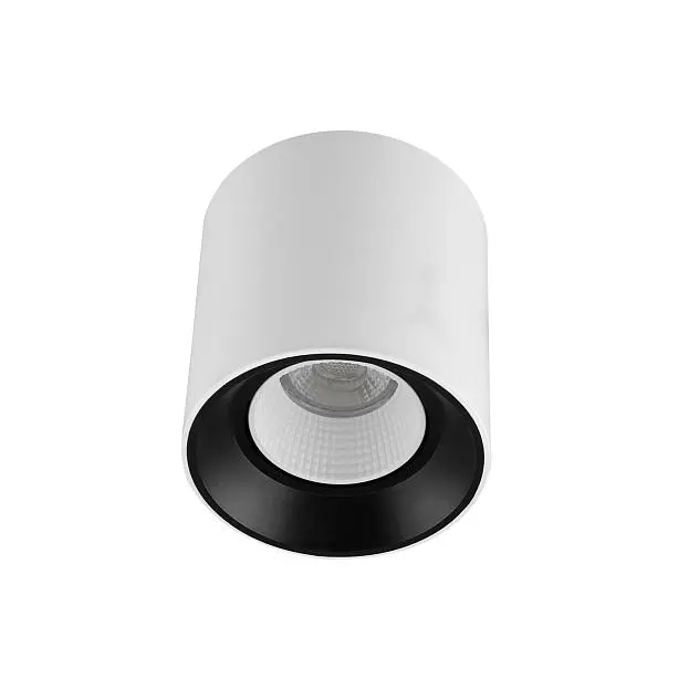 Накладной светильник Denkirs DK3090-WB+WH DK3020WW Rodvig Накладной светильник Denkirs DK3090-WB+WH DK3020WW Rodvig