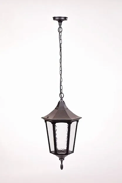 Уличный светильник подвесной Oasis Light 79705L Bl