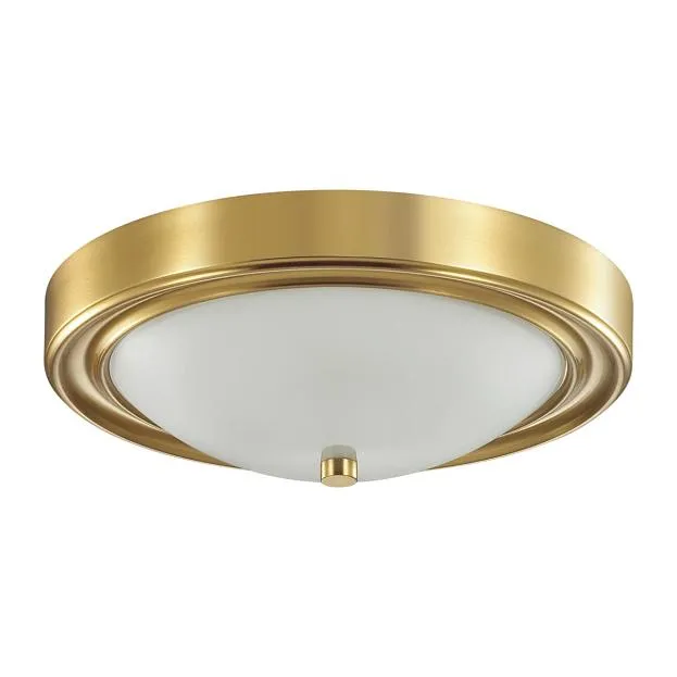 Настенно-потолочный светильник LUMION 5259/2C NINA