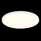 Светильник настенно-потолочный ST LUCE ST601.532.48 ST601
