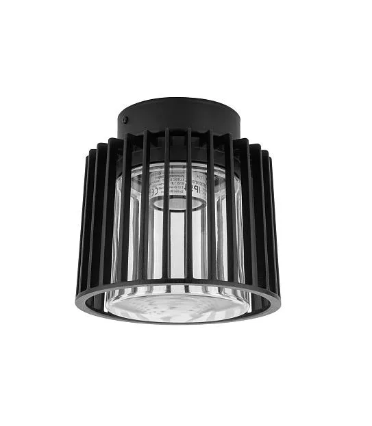 Потолочный светильник уличный Oasis Light 3975 Bl UNITE