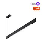 Светильник подвесной диммир. со сменой цв.темпер. (пульт ДУ/прилож. Smart Life) IP20 LED 12/24W 220-240V 3000-5700К Novotech 359546 ITER