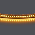 Лента теплого белого свечения 24V Lightstar 421023